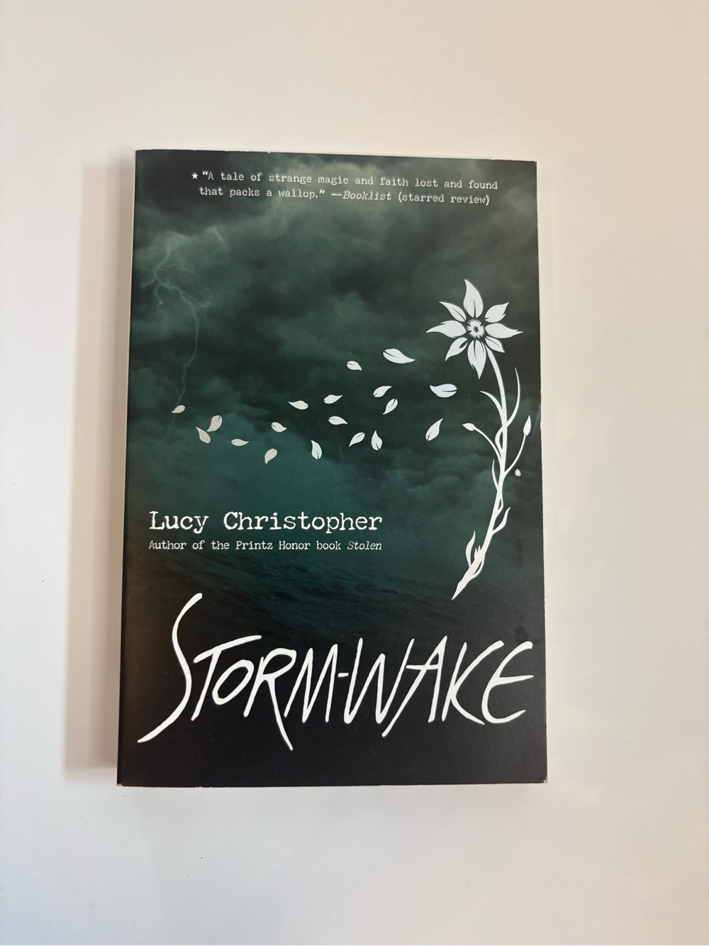 3/$20 Storm-Wake by Lucy Christopher - Teal & Black and Paperback
